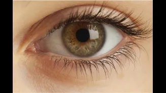 Glaucoma Myths Busted: What Everyone Needs To Know About The Silent Thief Of Vision