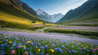 Uttarakhand’s Bloom Window Is Short But Stunning