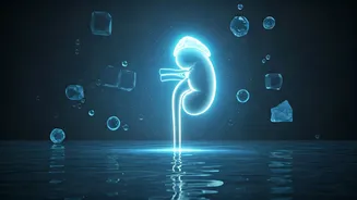 Kidney Care Simplified: Easy Habits for a Healthier You