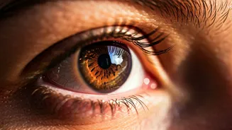 Shield Your Sight: 5 Essential Summer Eye Care Tips to Beat Sun, Dust, and Screens