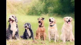 This City Plans To Ban Dogs, Cats Inside Public Parks