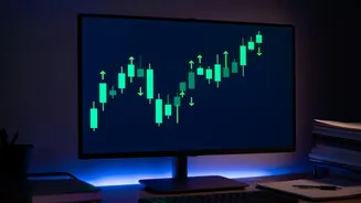 Shadowfax IPO to open next week, targets valuation of ₹7,400 crore