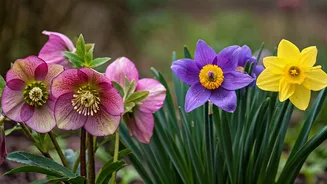 March's Marvels: Discover Unique Flowers Blooming Around the Globe This Spring!