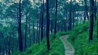 Bokaro To Sevati Valley: A Monsoon Travel Idea For Nature-Lovers