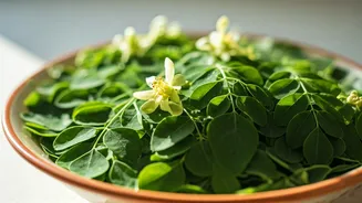 Moringa Leaves Are Summer’s Practical Superfood Flex
