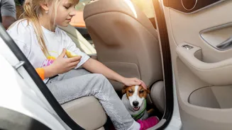 Nova tecnologia da BYD avisa se há animais embaixo do carro ou crianças na cabine