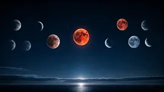 2026 Celestial Calendar: Your Guide to 13 Full Moons, Including Blue and Blood Moons!