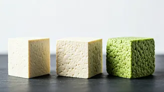 Watermelon Seed Paneer: Viral Sensation or Nutritional Flop Compared to Tofu & Dairy Paneer?