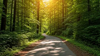 Solo Adventure: Top 5 Indian Destinations