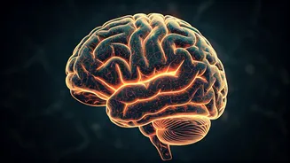 5 Brain Exercises: Boost Focus & Memory Naturally!