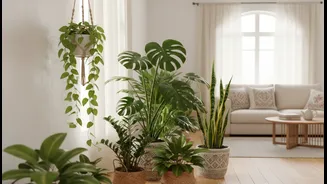 Brighten Rainy Days With Beautiful Indoor Greens