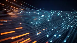 India's Economic Choices: Navigating Uncertainties