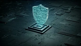 Related Stories banner