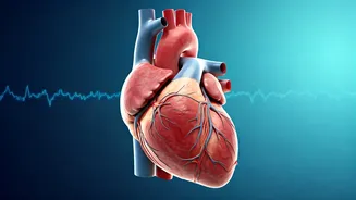 5 Signs Your Heart is Beating Strong: Indicators of a Healthy Cardiovascular System