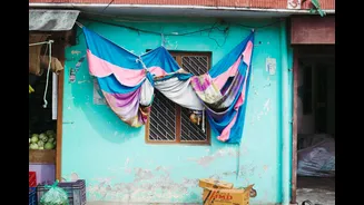 Understanding Mould Growth and Prevention in Indian Homes