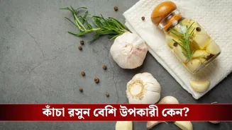 রান্নাঘরের রসুনই কি হতে পারে সুস্থ থাকার চাবিকাঠি? কী বলছে গবেষণা?