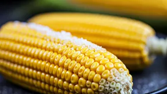 10 Sweet Corn Snacks: Delightful Ways to Enjoy!