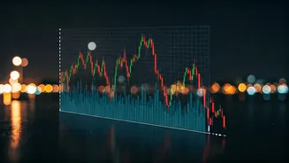 Lenskart IPO: Market's Valuation Concerns