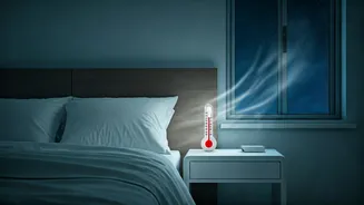 The Ideal Sleep Sanctuary: Unveiling the Science Behind Cold Room Temperatures