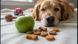 Pamper Smarter, Not Heavier, Pet Parents