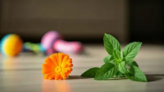 Indian Pet Owners Need This Plant Safety Check