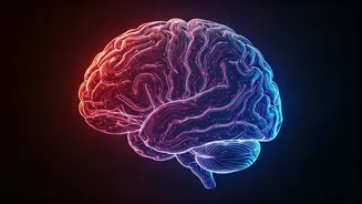 Brain Training: 5 Tips to Unlock Your Success
