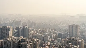 Delhi Air Pollution UN Report: What The Evidence Supports
