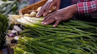 Effective Produce Storage Tips to Reduce Food Waste