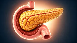 Reverse Pre-Diabetes: 7 Paths to Wellness