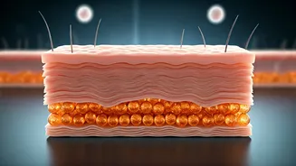 Guard Your Glow: Dermatologist Reveals 3 Key Skin Barrier Damagers & Prevention Secrets