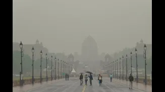 Hottest Week In 50 Years To Wettest Month In 3 Years: Decoding Delhi's March Weather Whiplash