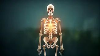 Fortify Your Framework: Building Peak Bone Strength Before Age 40