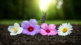 5 Nature's Blooms: Unlocking Lush Hair Growth Naturally