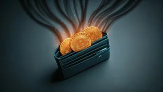 UPI Fraud Awareness Belongs In Every Wallet