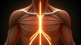 Build Real Strength From Inside Out via Functional Fitness