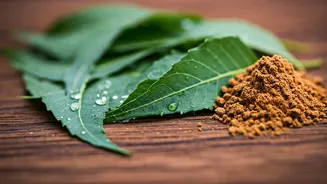How Botanical Ingredients Clear Humid Skin Congestion In India
