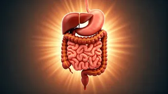 Related Stories banner