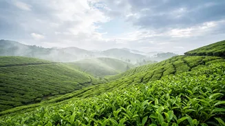 What Not To Overlook When Planning A Weekend Trip During Monsoon