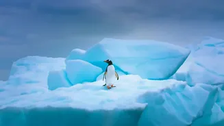 A New Antarctica Study And The Latest Picture On Long-Term Ice Loss