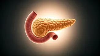 Post-Breakfast Blood Sugar Dips: Understanding the Morning Metabolic Hiccups