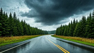 Kerala Rains Need Route And Timing Checks