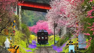 Japan Holiday From Mumbai: Comparing IRCTC's Package Price And Inclusions