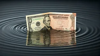 Rupee's Slide: RBI Rescues Against Dollar
