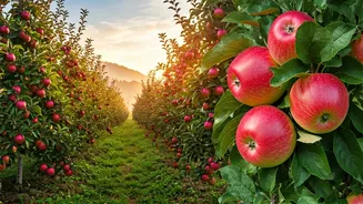 Kotgarh: Unveiling India's Revered 'Apple Capital' in Himachal Pradesh