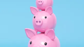 Zero-Based Budgeting Helps Young Adults Control Spending Spikes During Festive Seasons