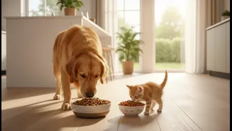 Pet Food Should Fit Age, Size, Health And Activity