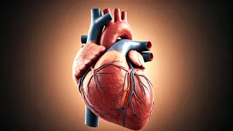 Heart Health: Protecting Your Rhythm