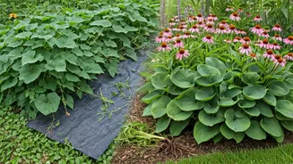 Conquer Invasive Plants Naturally: 4 Eco-Friendly Garden Solutions