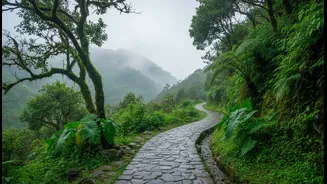 India's Rainy Hill Escapes Invite Travellers To Take Their Time