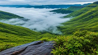 This Misty Western Ghats Getaway Is Perfect For Weekends